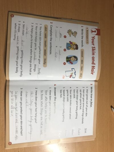 F837EE8C-8D40-4E60-88DB-5B3D4F4B73B3